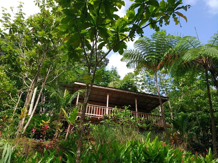 Roots Junlge Eco-Retreat