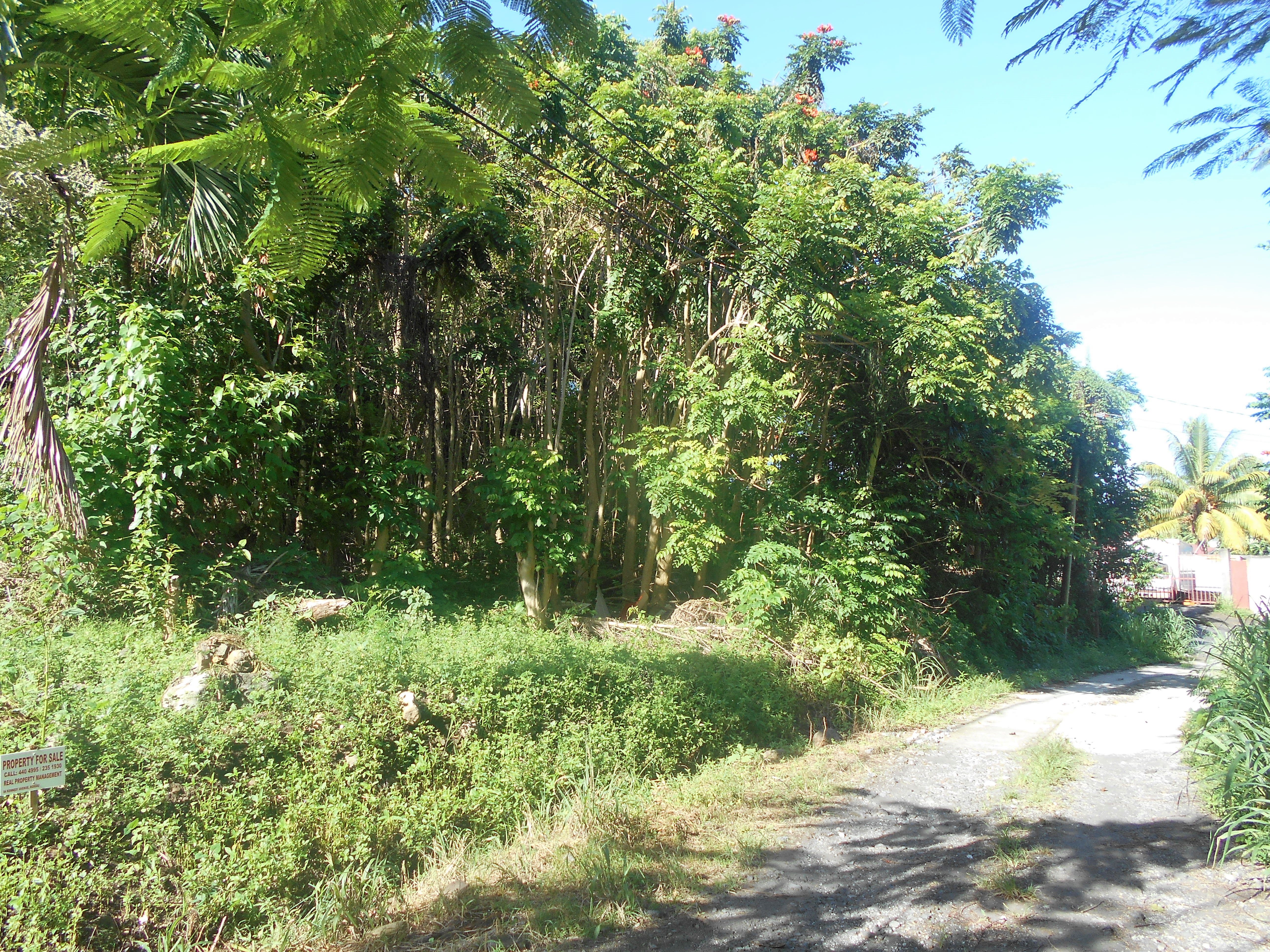 Residential lot in Castle Comfort