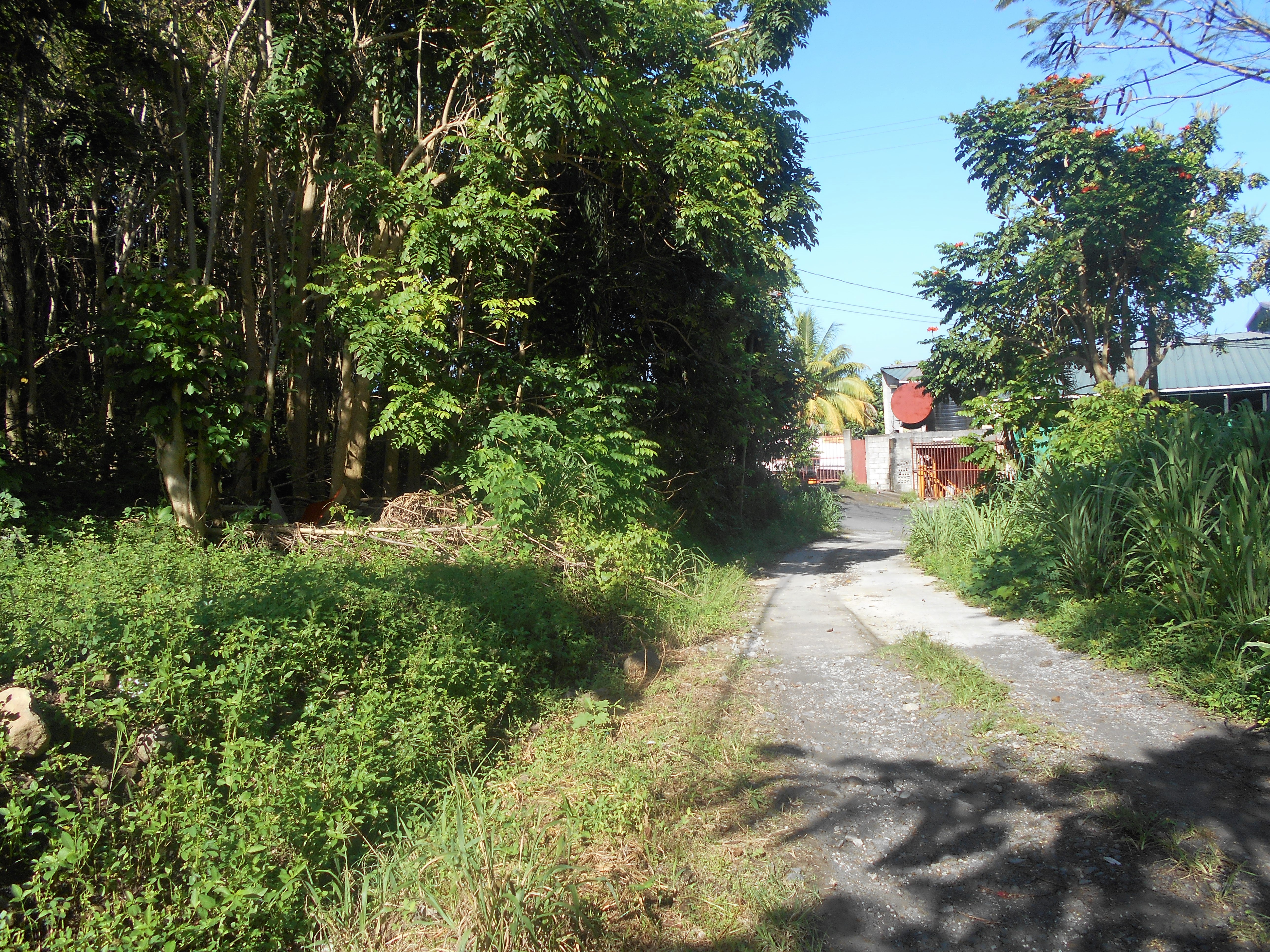 Residential lot in Castle Comfort
