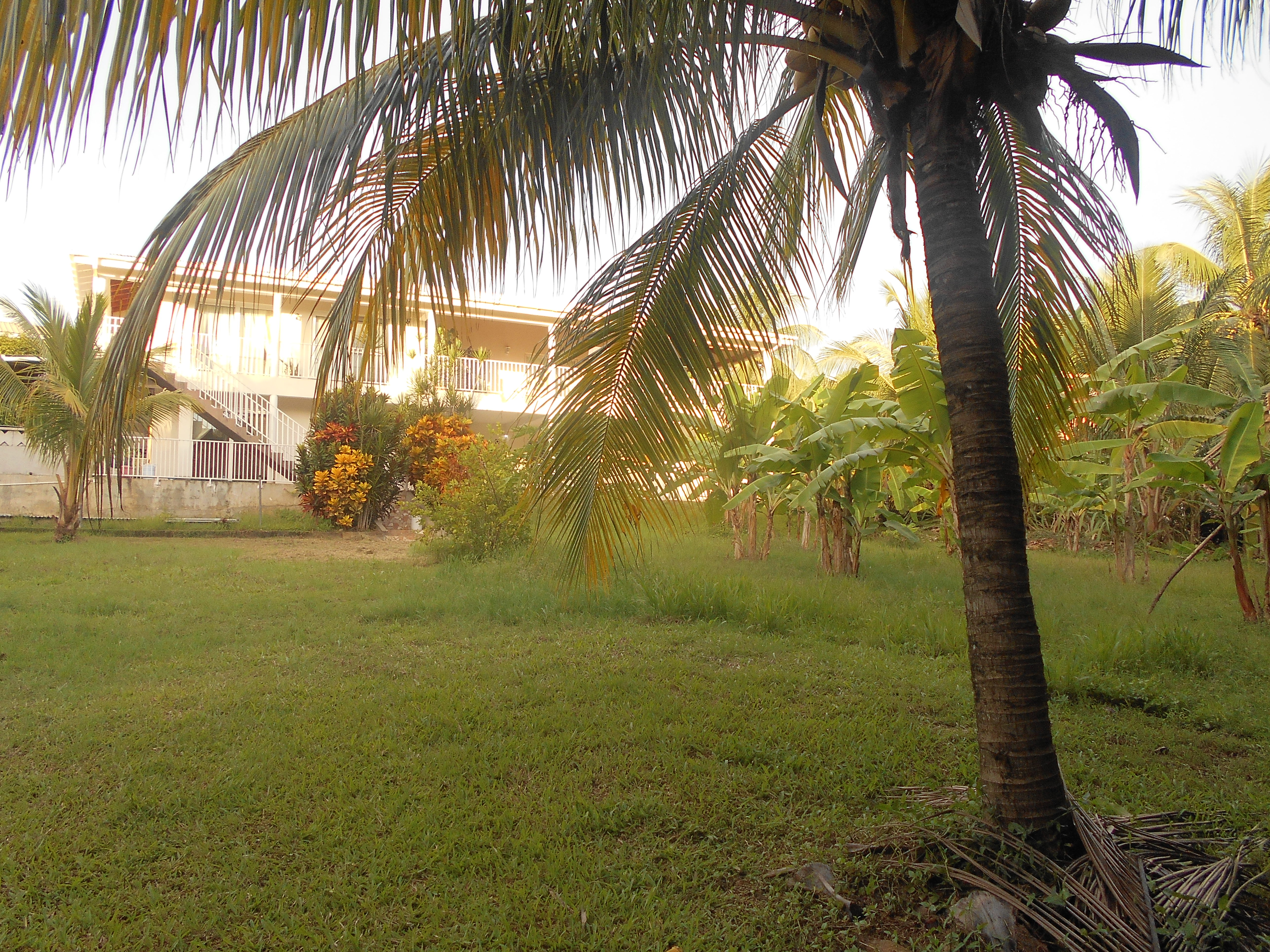 4 bedrooms, 3 baths ground floor apt