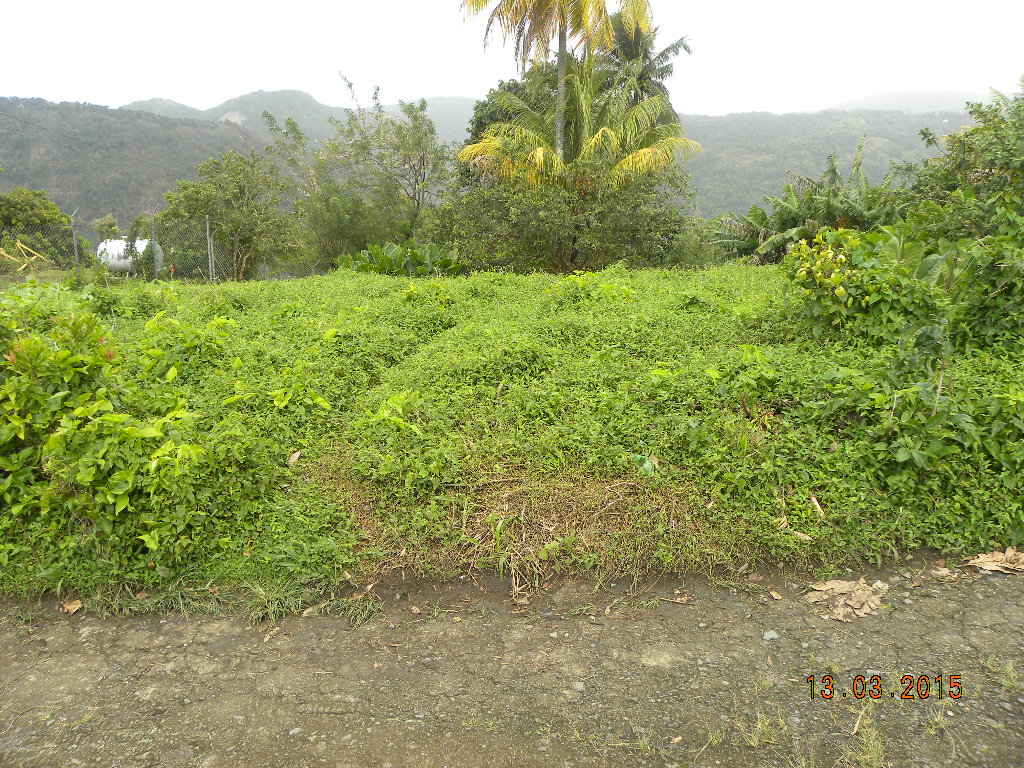 Residential lot in Morne Prosper