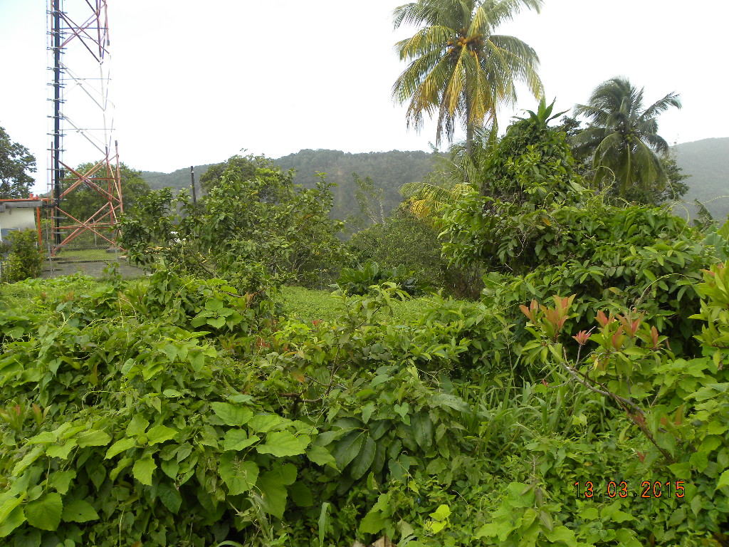Residential lot in Morne Prosper