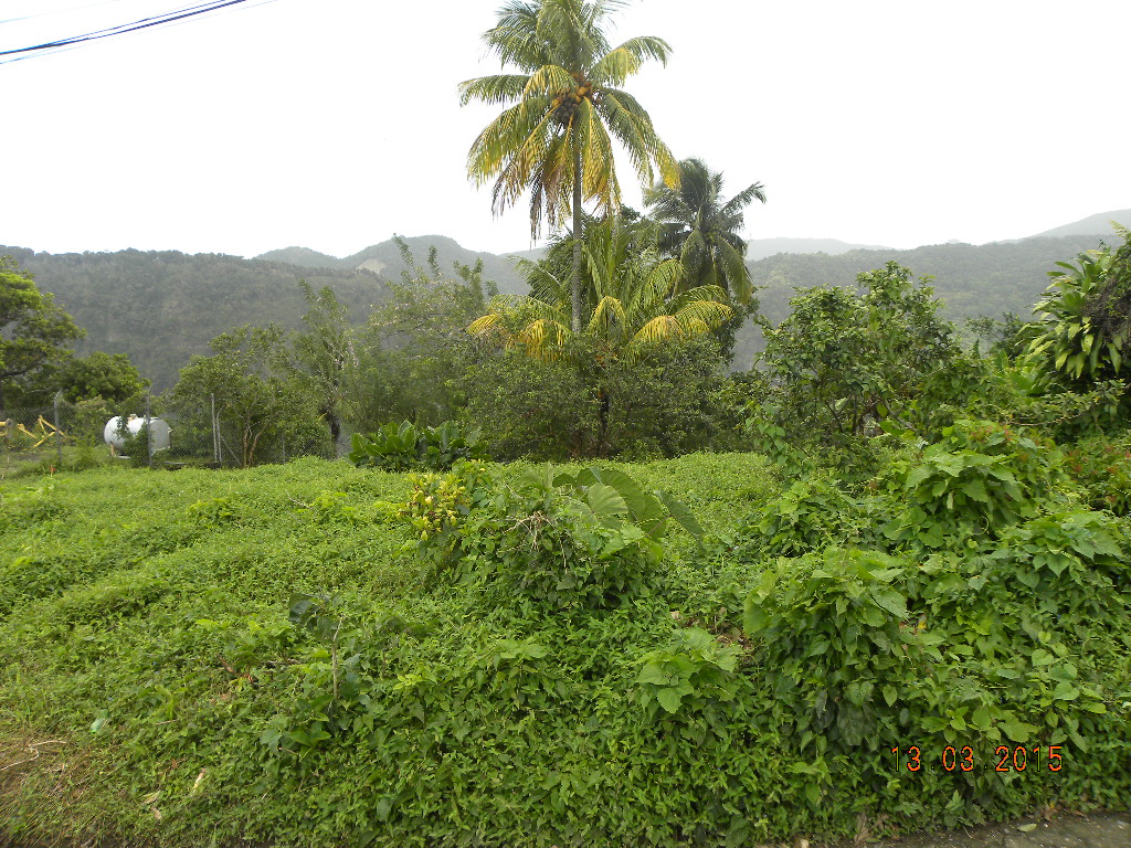 Residential lot in Morne Prosper