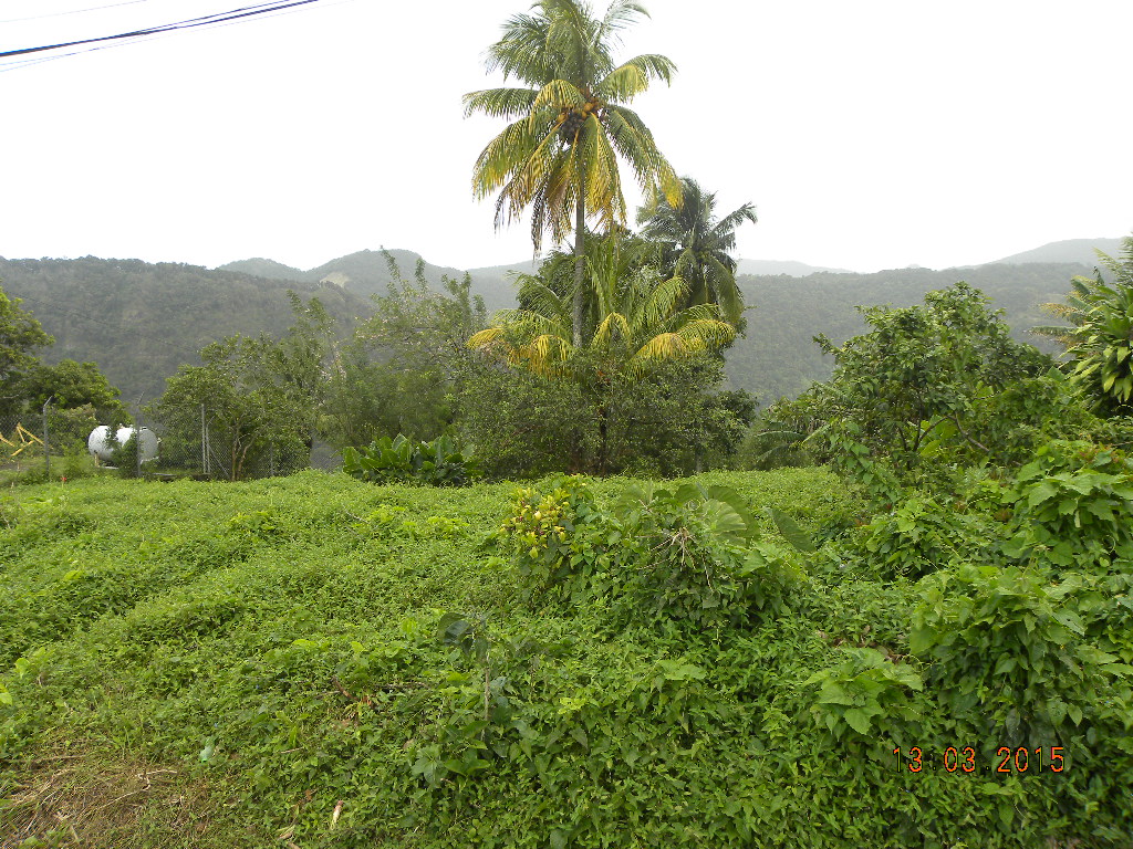 Residential lot in Morne Prosper