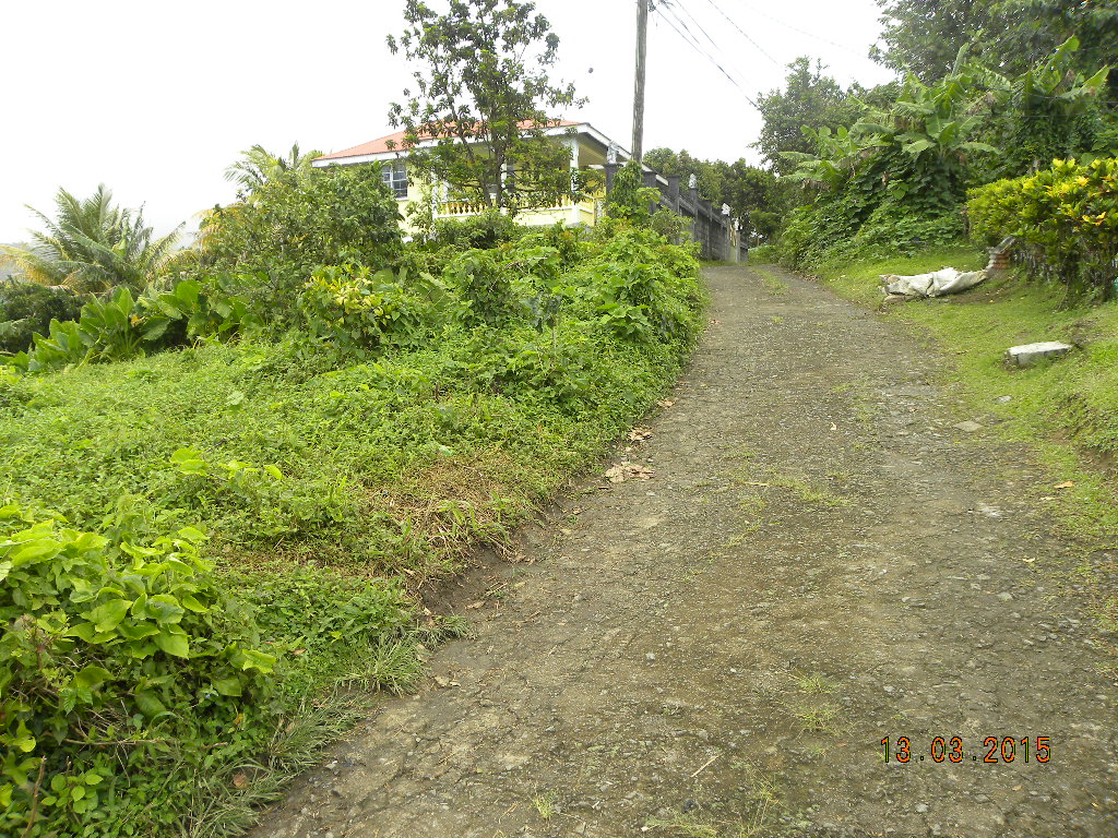 Residential lot in Morne Prosper
