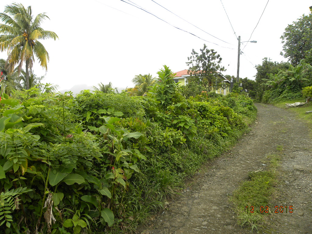Residential lot in Morne Prosper
