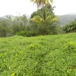 Residential lot in Morne Prosper