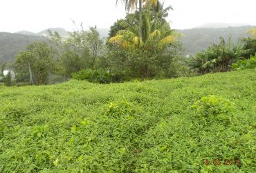 Residential lot in Morne Prosper