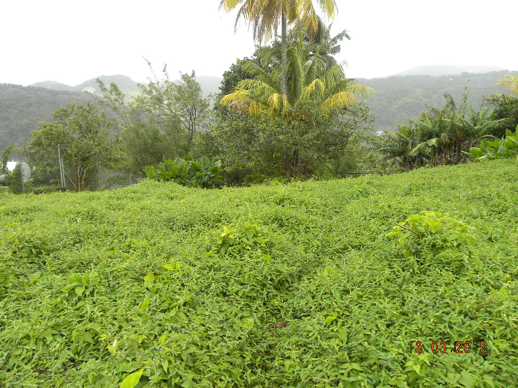 Residential lot in Morne Prosper