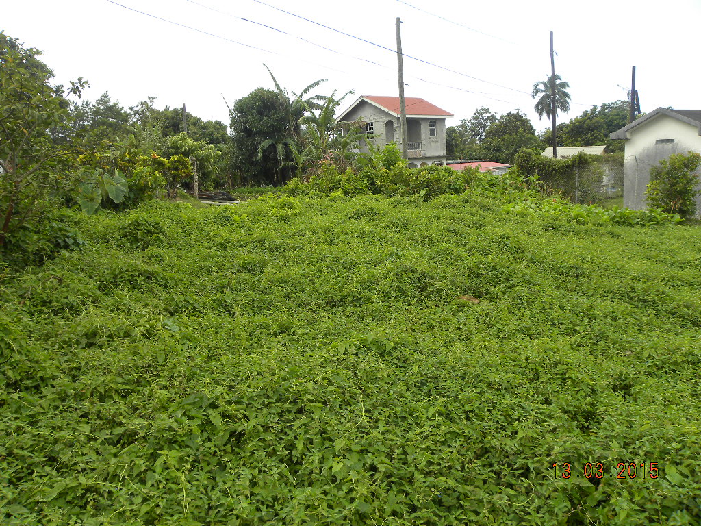 Residential lot in Morne Prosper