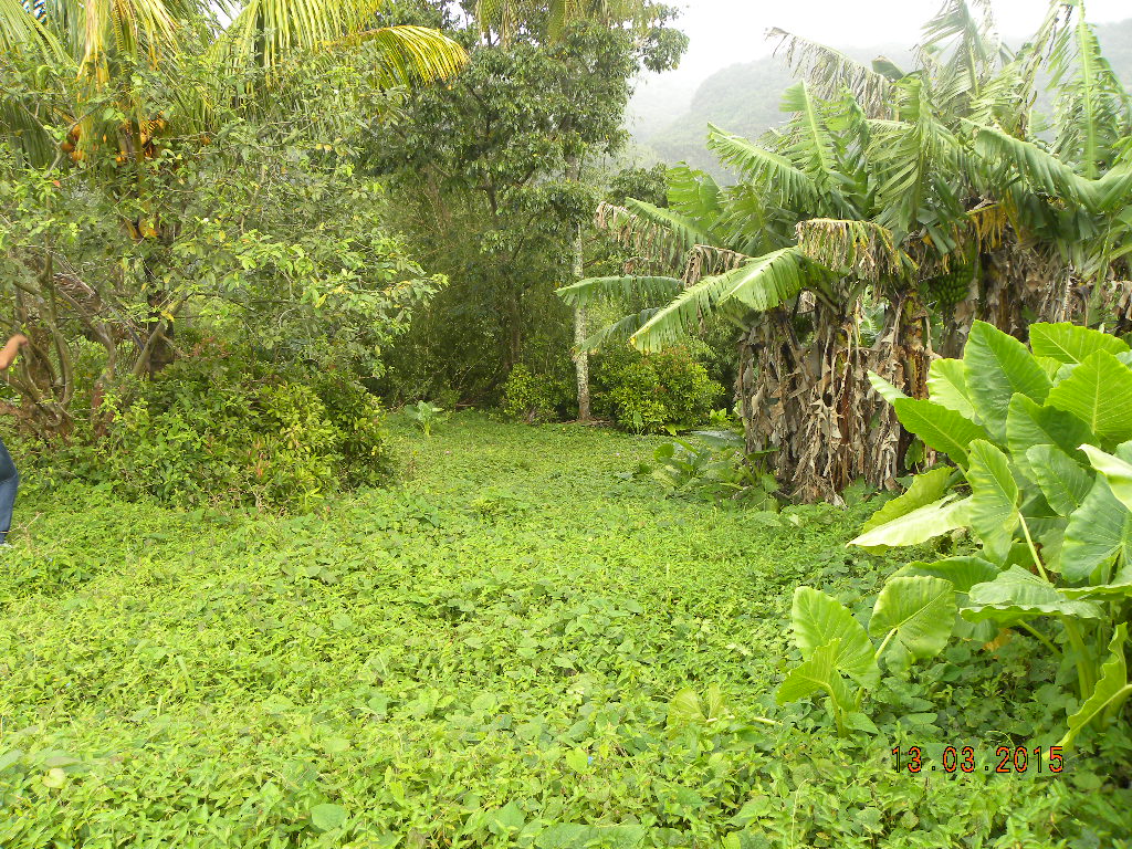 Residential lot in Morne Prosper