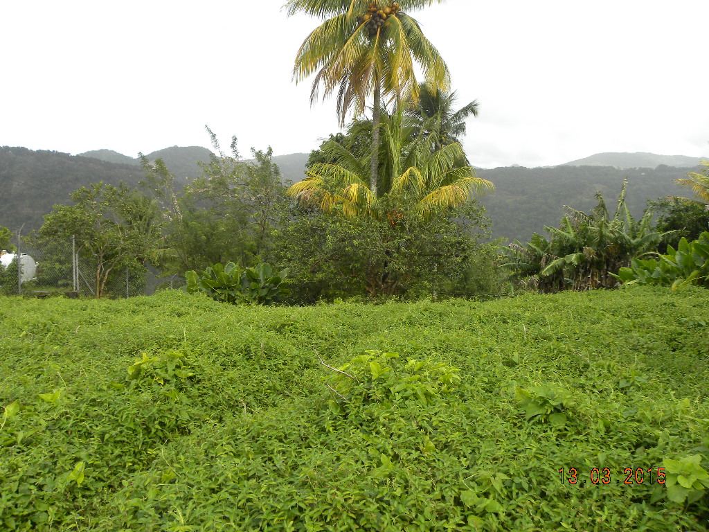 Residential lot in Morne Prosper