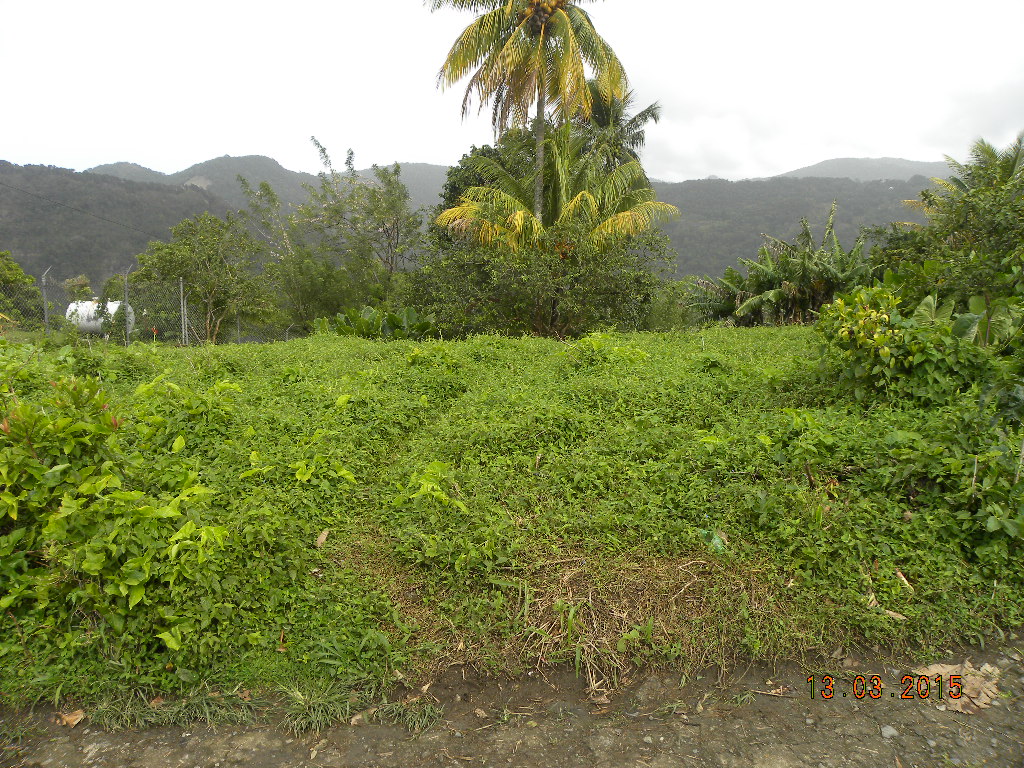 Residential lot in Morne Prosper