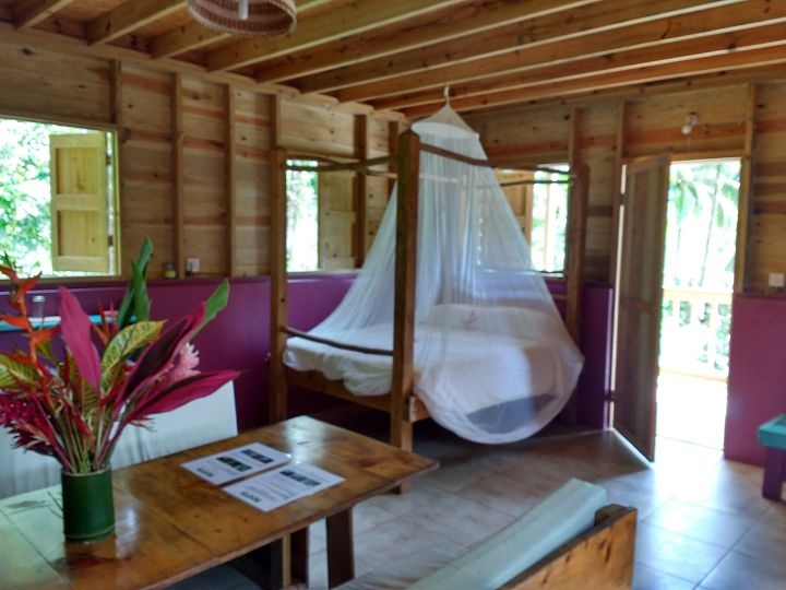 Roots Junlge Eco-Retreat